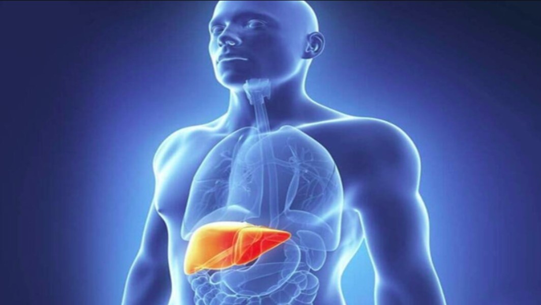 क्या आपको भी है फैटी लिवर की समस्या- तो सिर्फ खराब डाइट ही नहीं, ये आदतें भी हो सकती हैं जिम्मेदार