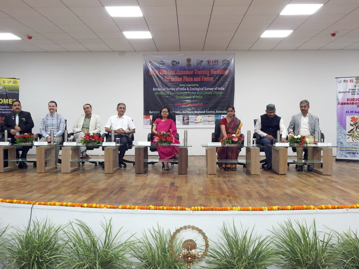 IUCN Red List Assessor Training Workshop