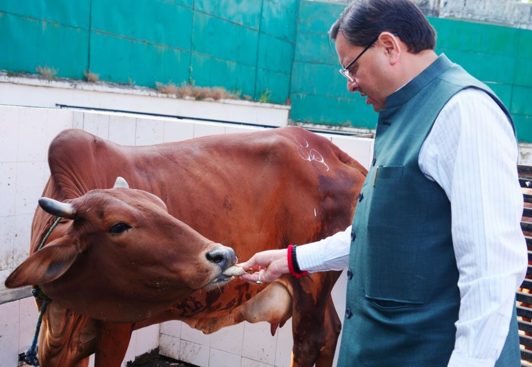 गोवर्धन पूजा पर सीएम धामी ने गौमाता की सेवा कर लोगों से पर्यावरण बचाने की अपील की।